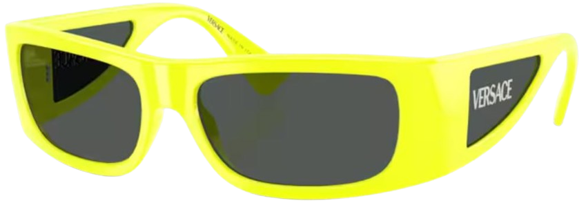 Versace VE4482 Sunglasses