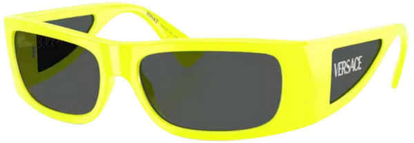 Versace VE4482太阳眼镜