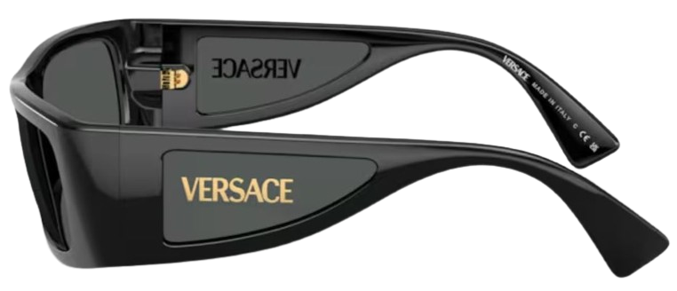 Versace VE4482 Sunglasses