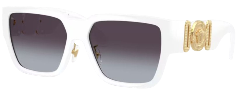 Lunettes de Soleil Versace VE4483D