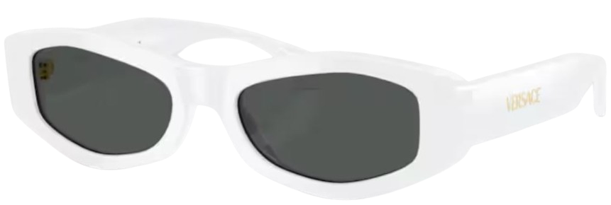 Occhiali da Sole Versace VE4487