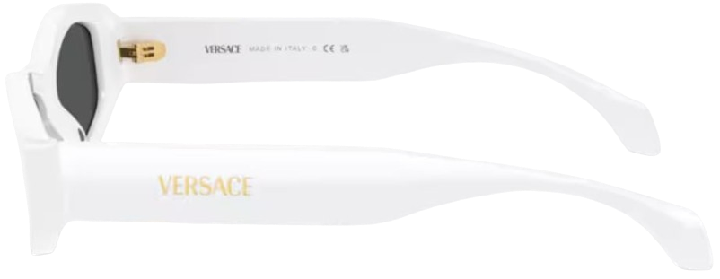 Occhiali da Sole Versace VE4487