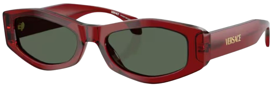 Occhiali da Sole Versace VE4487