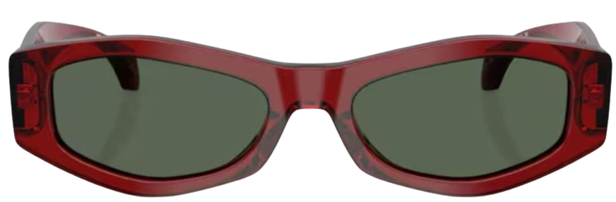 Occhiali da Sole Versace VE4487