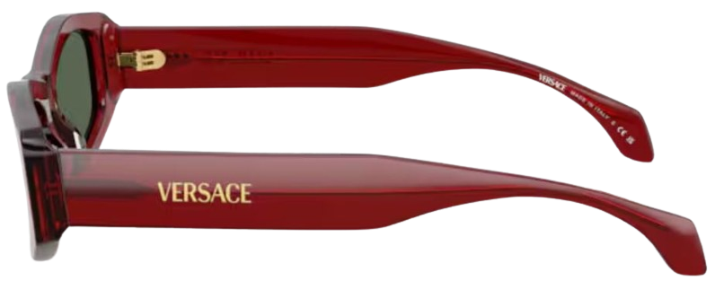 Occhiali da Sole Versace VE4487
