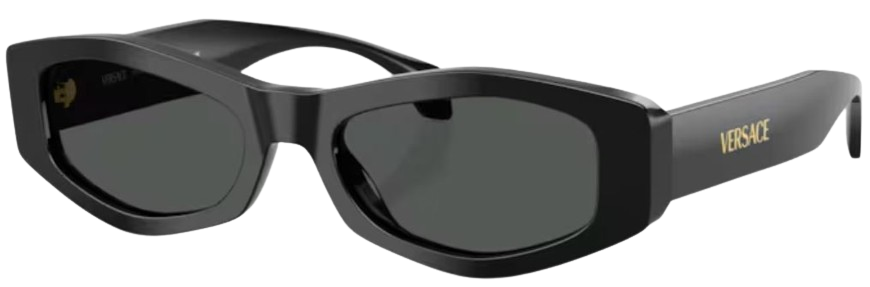 Occhiali da Sole Versace VE4487