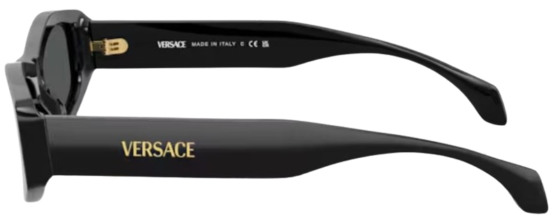 Occhiali da Sole Versace VE4487