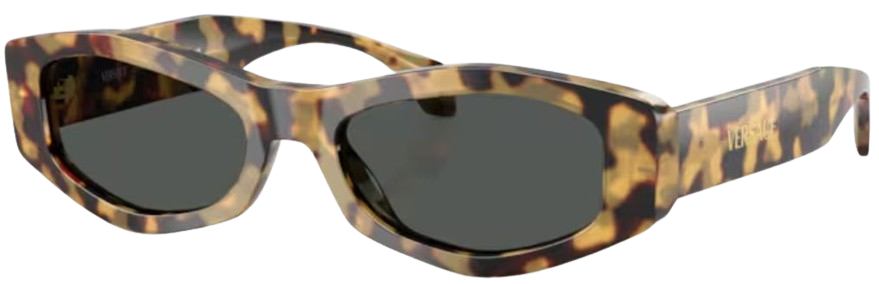 Occhiali da Sole Versace VE4487