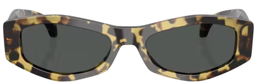 Occhiali da Sole Versace VE4487