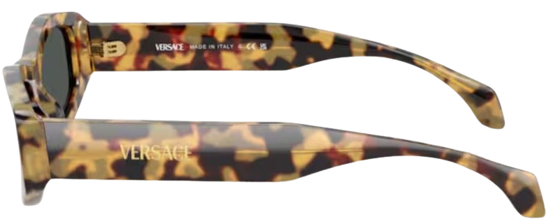 Occhiali da Sole Versace VE4487