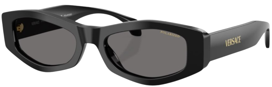 Occhiali da Sole Versace VE4487
