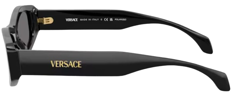 Occhiali da Sole Versace VE4487