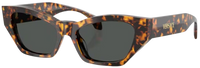 Óculos de Sol Versace VE4488U