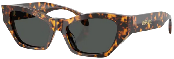 Versace VE4488U 太陽眼鏡