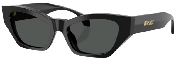 Versace VE4488U 太陽眼鏡