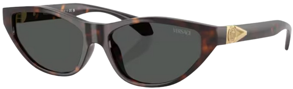 Versace VE4491U太阳镜