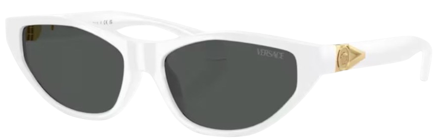 Óculos de Sol Versace VE4491U
