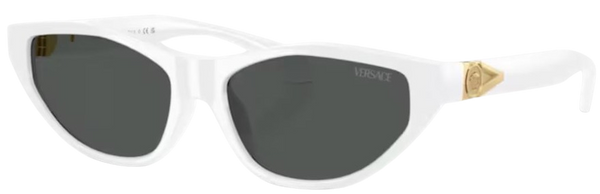Versace VE4491U太阳镜