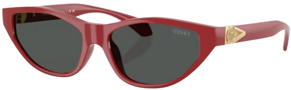 Versace VE4491U太阳镜