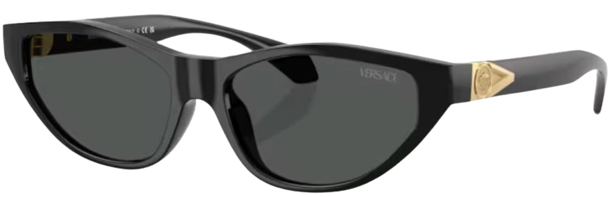 Óculos de Sol Versace VE4491U