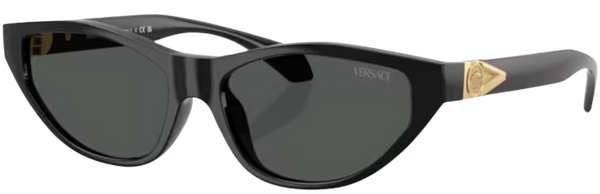 Versace VE4491U太阳镜