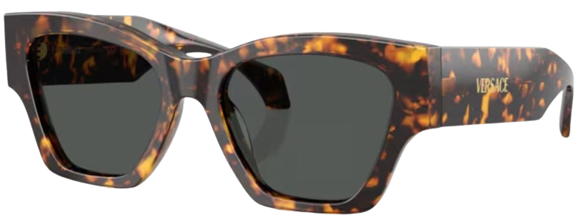 Óculos de Sol Versace VE4492U