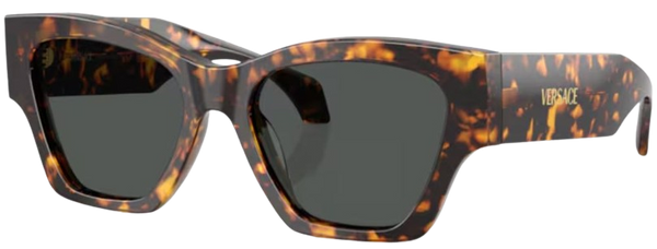Versace VE4492U太阳镜