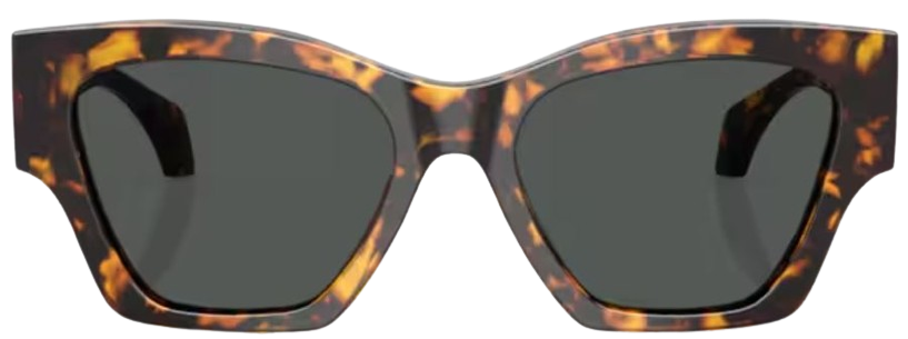 Óculos de Sol Versace VE4492U