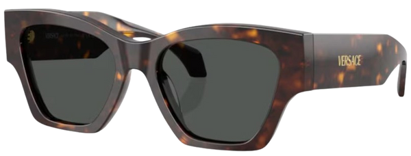 Versace VE4492U太阳镜