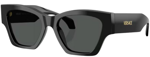 Versace VE4492U太阳镜