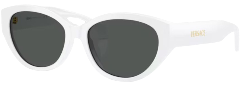 Óculos de Sol Versace VE4495D