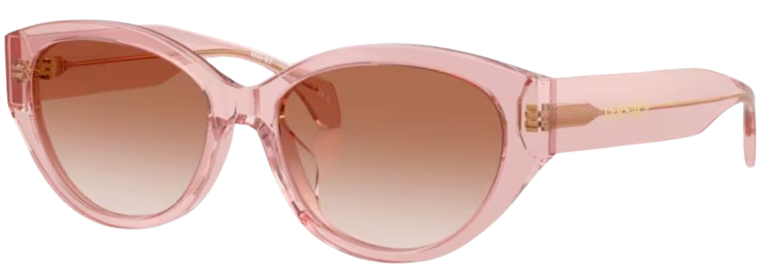 Óculos de Sol Versace VE4495D