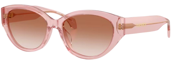 Versace VE4495D太阳眼镜