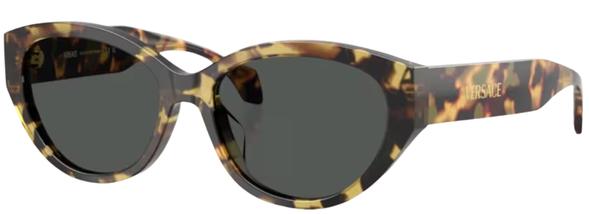 Óculos de Sol Versace VE4495D