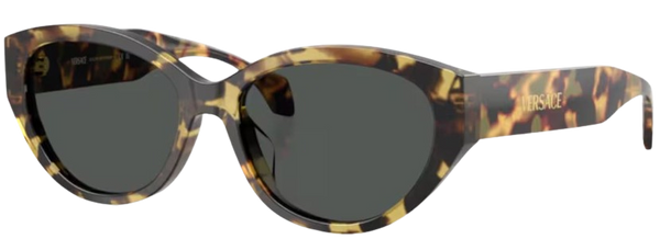 Versace VE4495D太阳眼镜
