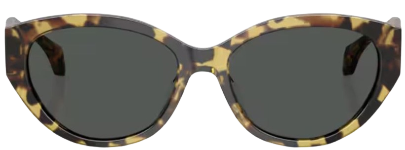 Óculos de Sol Versace VE4495D