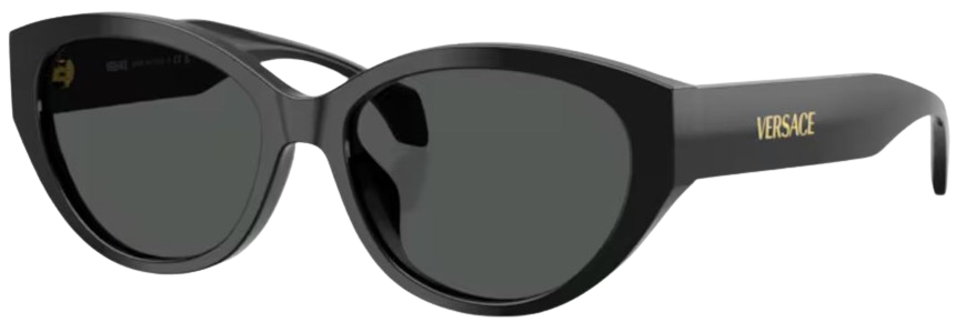 Óculos de Sol Versace VE4495D