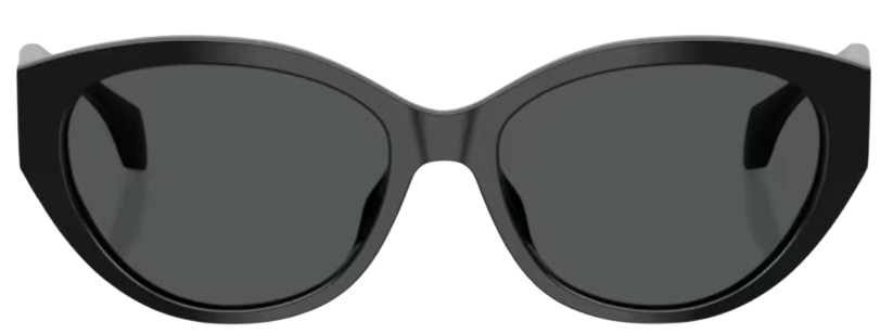 Óculos de Sol Versace VE4495D