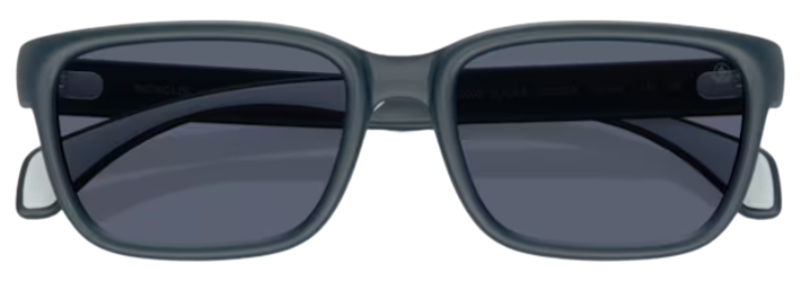 Sonnenbrille Moncler Slicka ME8002