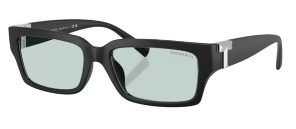 Tiffany & Co TF4226U Sunglasses