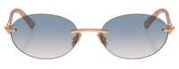 Óculos de sol Tiffany & Co TF3104D