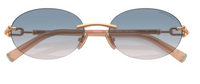 Óculos de sol Tiffany & Co TF3104D