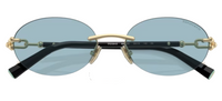 Óculos de sol Tiffany & Co TF3104D