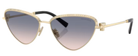 Óculos de sol Tiffany & Co TF3107KB