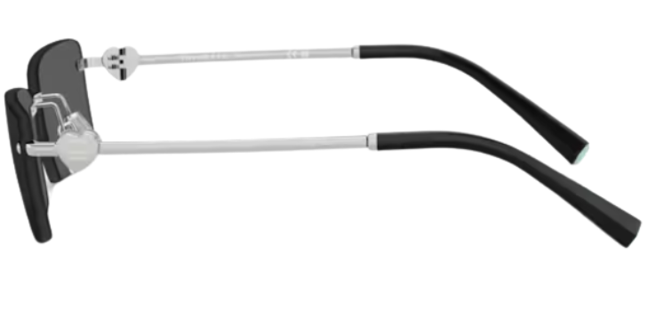 Gafas de sol Tiffany & Co TF3108B