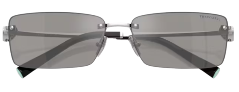 Gafas de sol Tiffany & Co TF3108B
