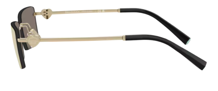 Gafas de sol Tiffany & Co TF3108B