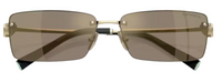 Gafas de sol Tiffany & Co TF3108B