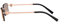 Gafas de sol Tiffany & Co TF3108B