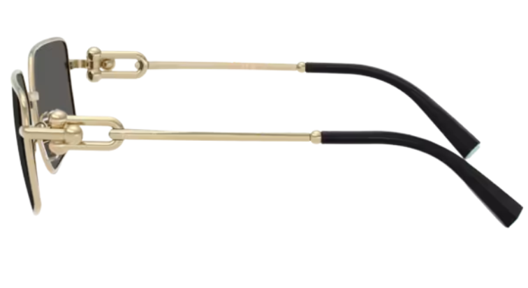 Sonnenbrille Tiffany & Co TF3111